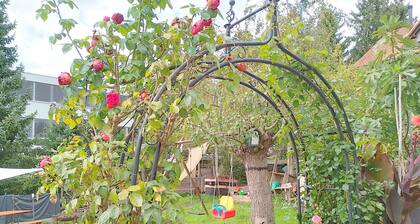 cape Diem
top destination for recreation or business