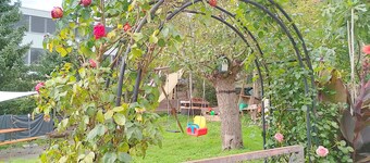 cape Diem
top destination for recreation or business