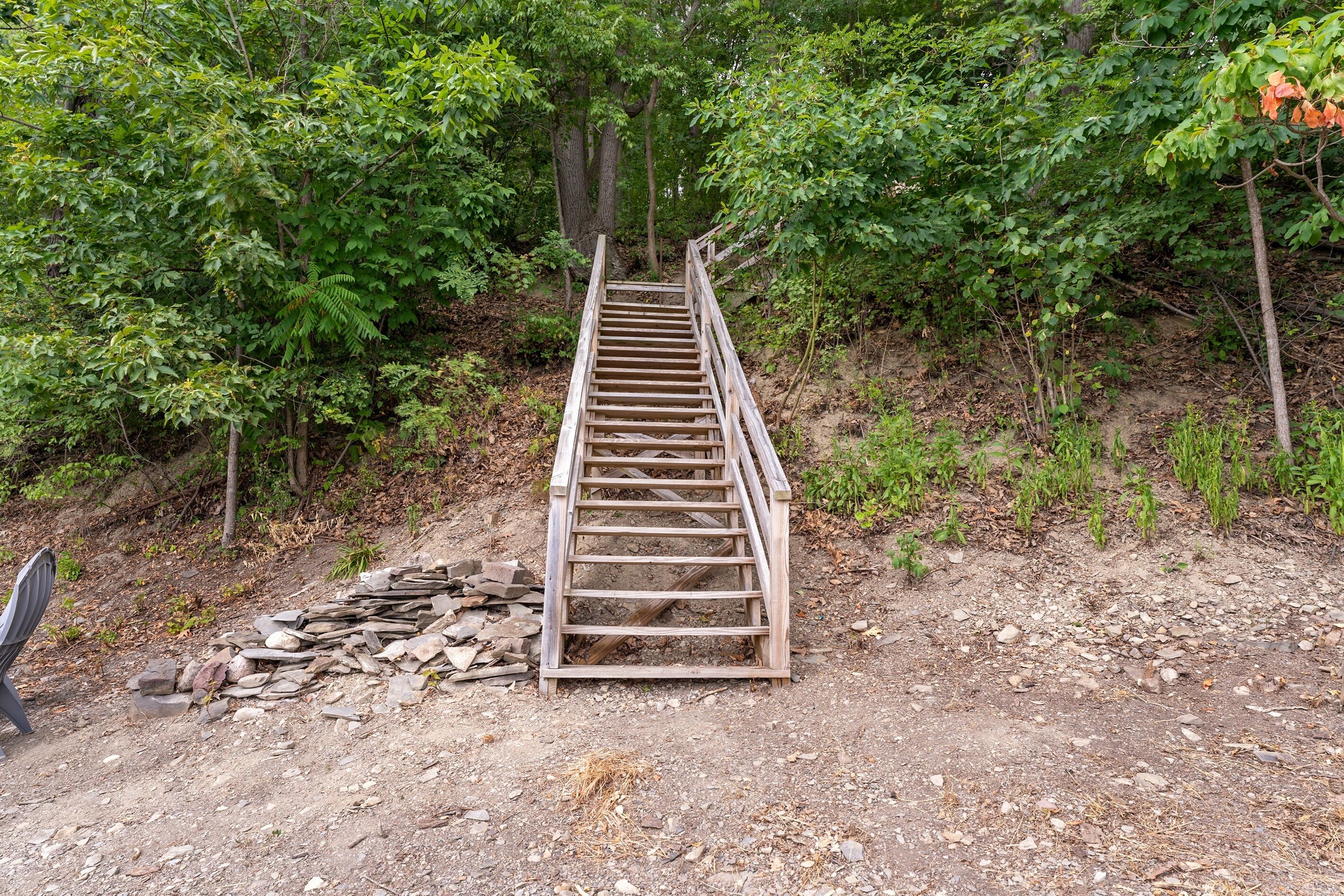 Un escalier en bois menant vers le haut, entouré d’un feuillage vert et luxuriant.