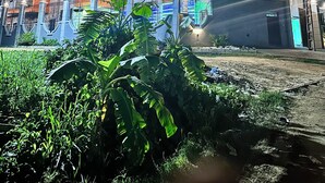 施設の正面