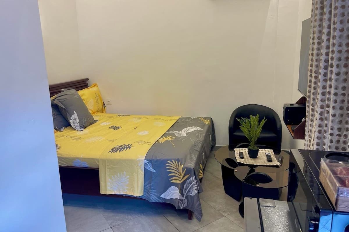 A small, neatly arranged bedroom with a bed, a chair, a small table with a plant, and a TV.