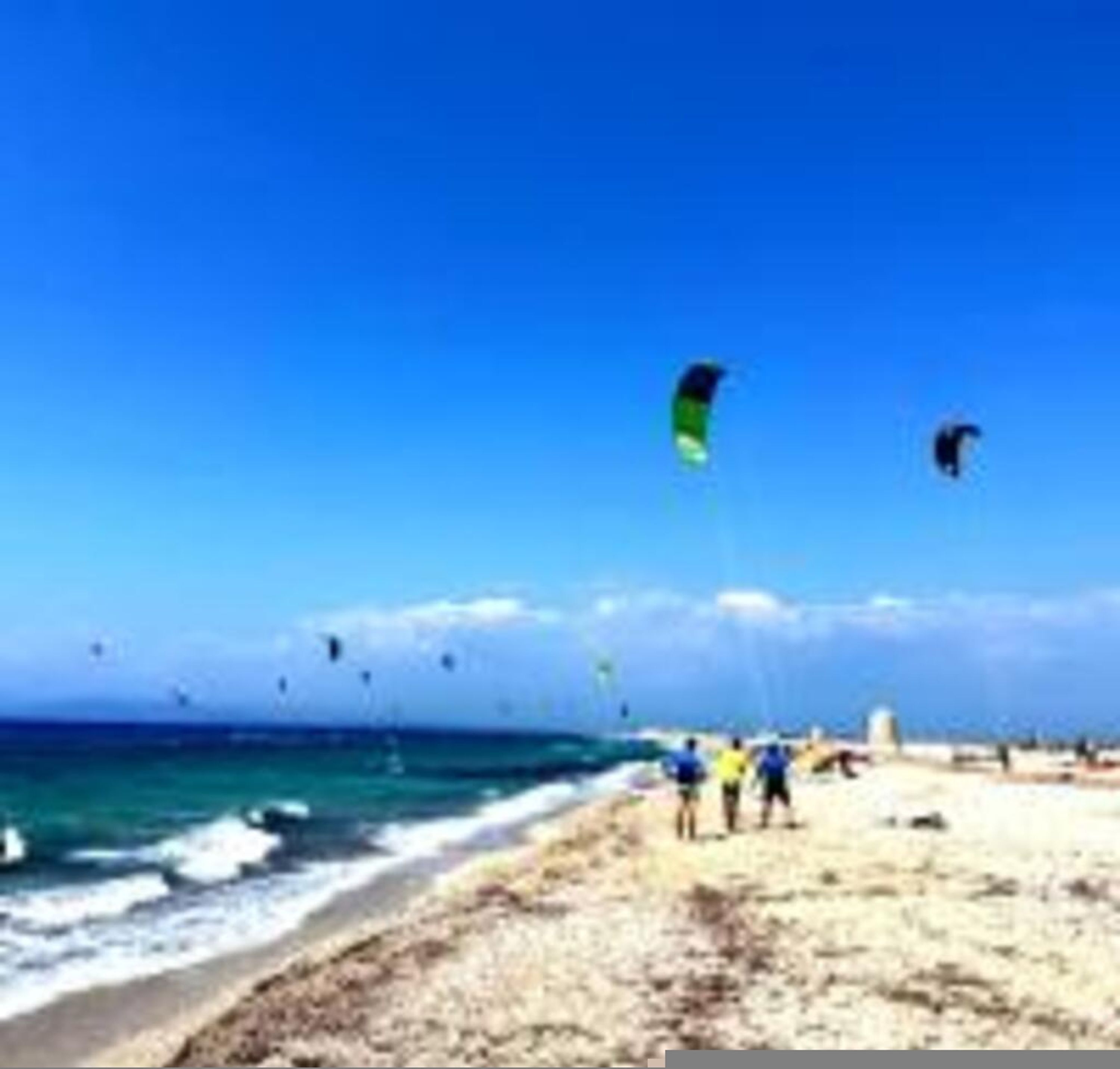A beach with people and kites.
