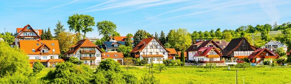 Exteriör