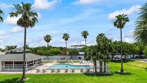 Piscina com espreguiçadeiras, cercada por palmeiras e uma área murada.