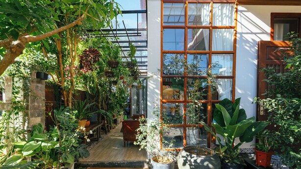 A greenhouse with various plants, a wooden bench, and a large window. - AuLac Hoian Homestay (Hoi An)