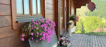 Quiet vacation apartment 'Weideblick' in the middle of nature in Schluchsee-Blasiwald