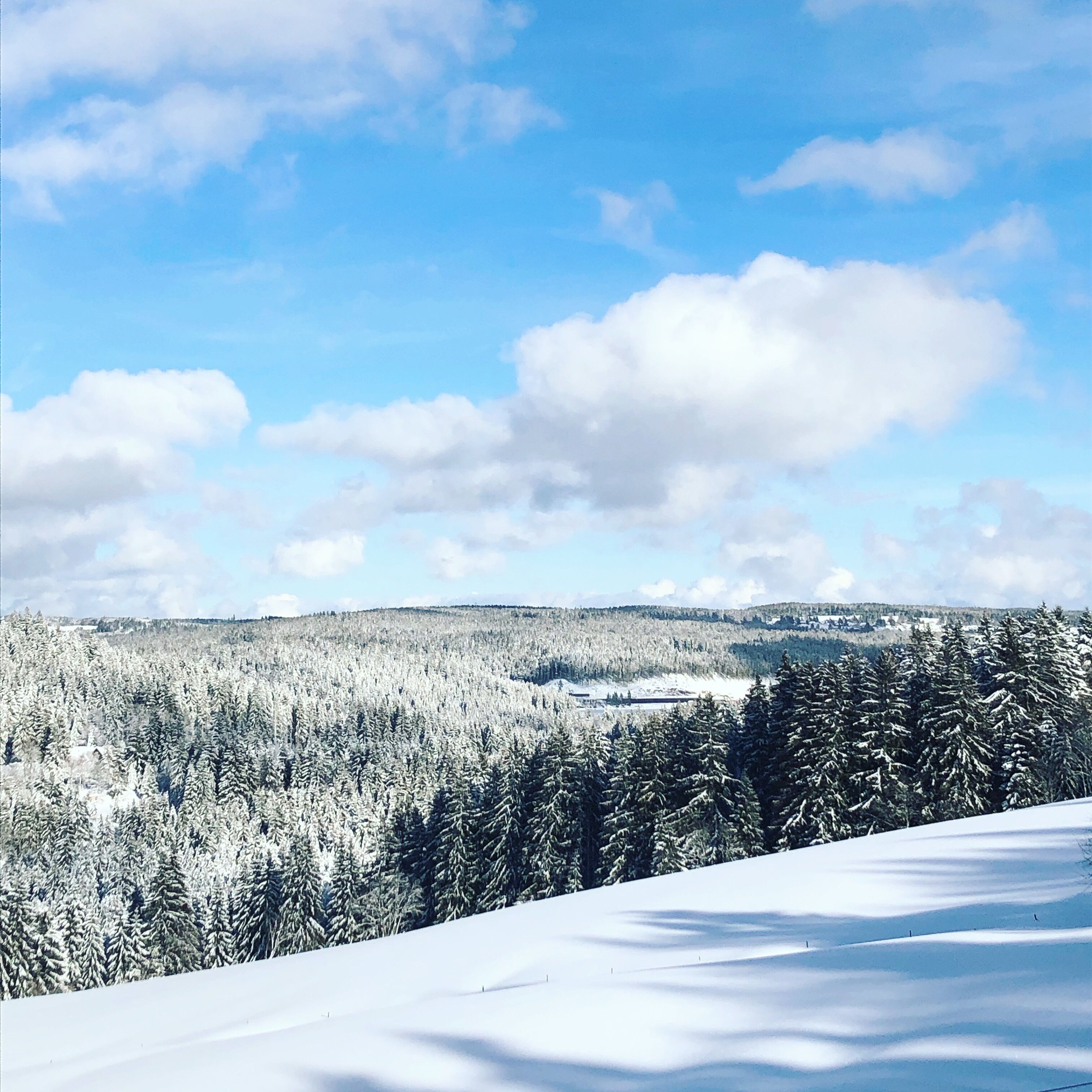 A snowy landscape with a forest and a clear sky.