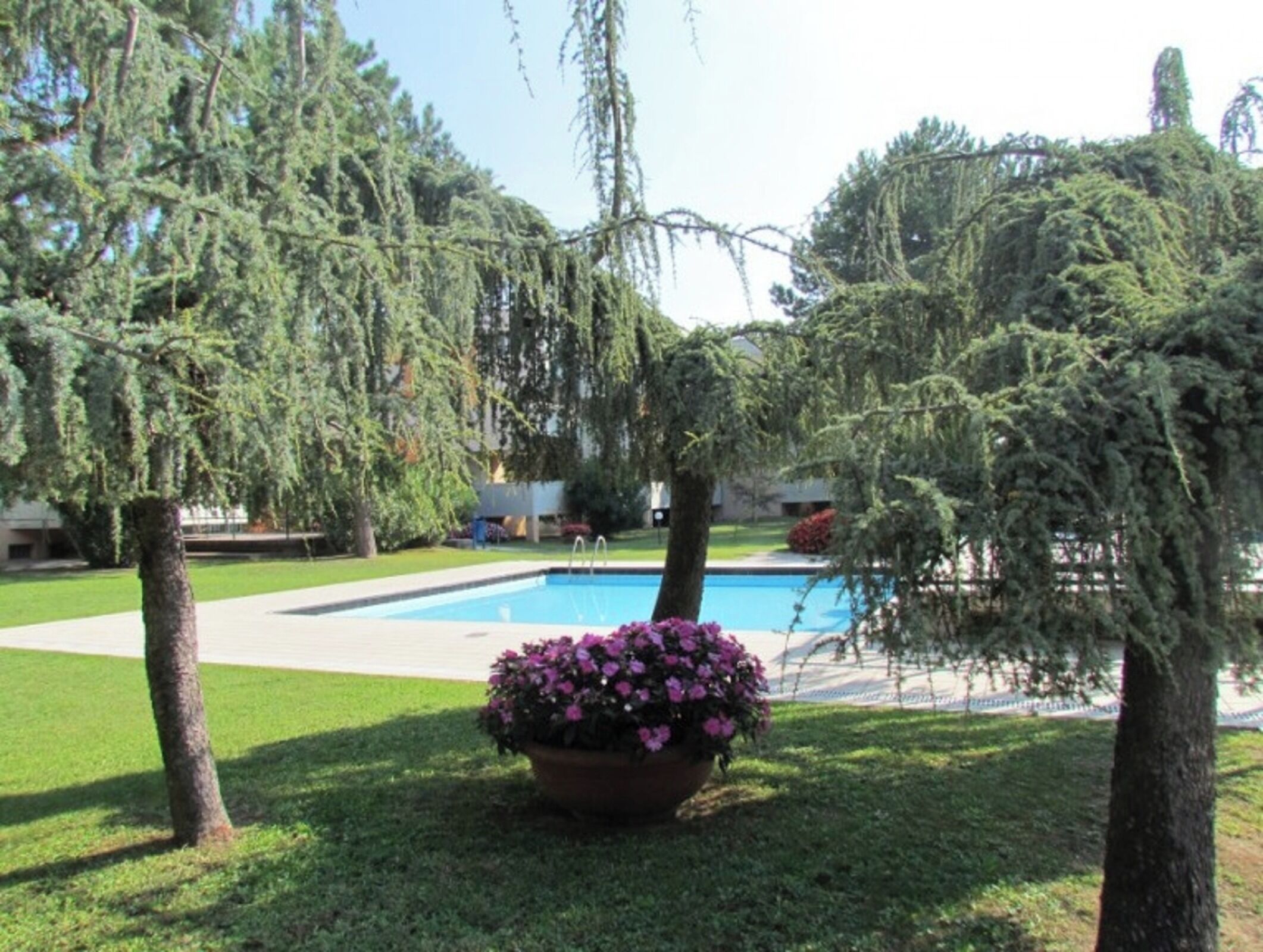 A swimming pool surrounded by lush greenery and a large flower pot.