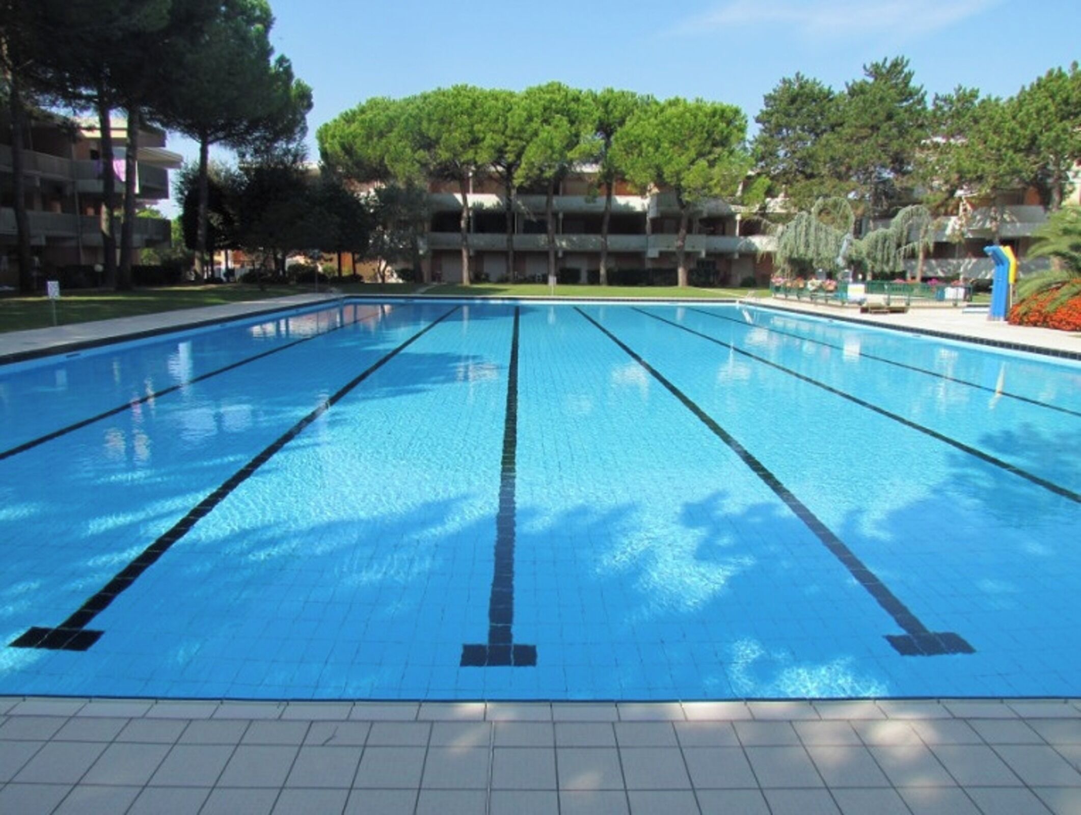 Ein großzügiges Hallenbad mit deutlichen Bahnmarkierungen, umgeben von einer gefliesten Liegefläche und Bäumen.