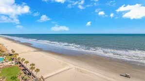 Une plage avec un ciel dégagé, un rivage sablonneux et quelques palmiers.