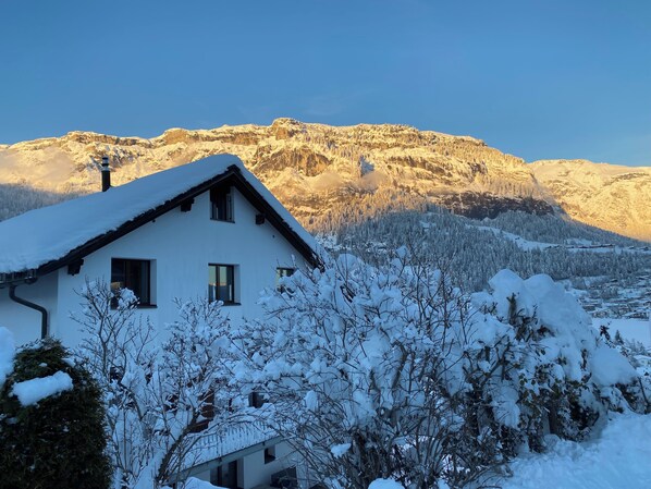 Eksteriør