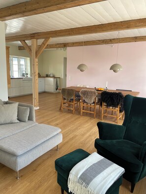 TV connectée, cheminée, chaîne hi-fi