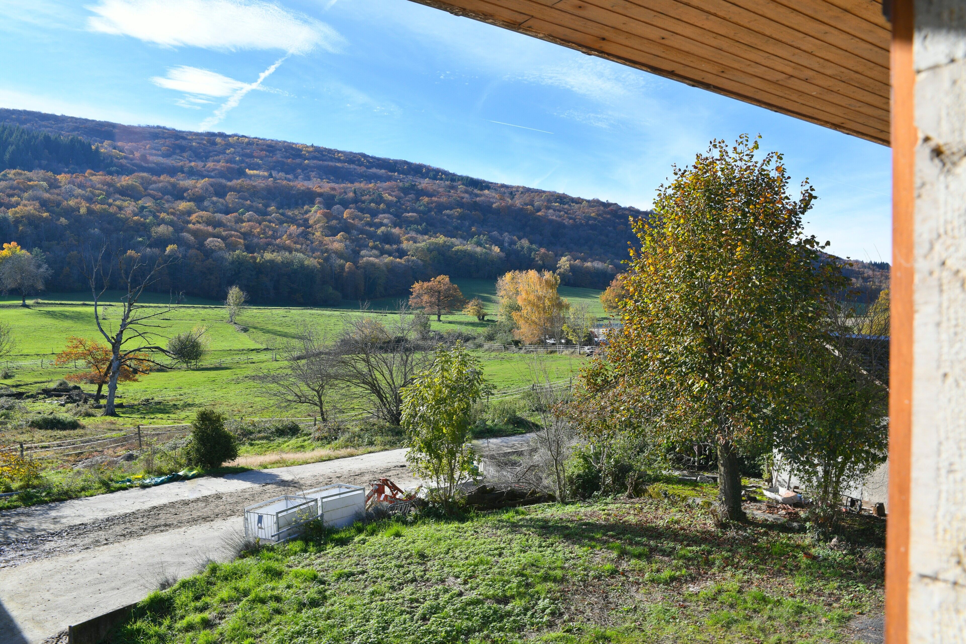 A view from a covered area overlooking a rural landscape with a dirt path, trees, and a hill in the distance.