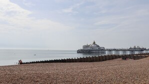 A pebbled beach with a pier extending into calm waters, a large building with a golden dome, and a clear sky. - Pebbles (Eastbourne)