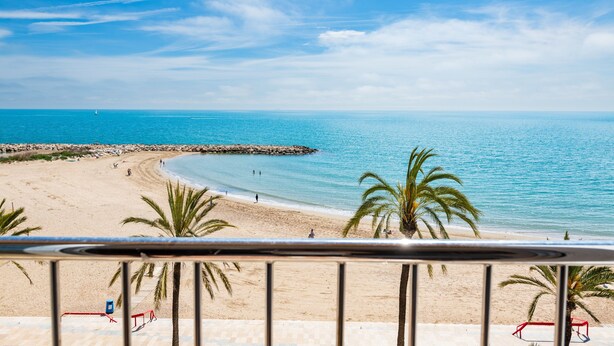 Vista de la playa con cielo despejado, palmeras y un rompeolas rocoso.