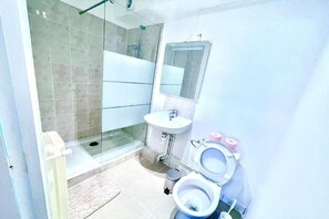 Shower, towels, toilet paper