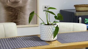 Uma sala de jantar com uma mesa, cadeiras, um vaso de planta e uma tela na parede exibindo um gato.