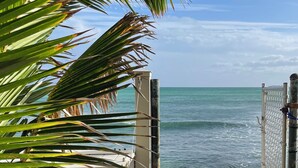Uitzicht op het strand met palmbomen op de voorgrond, een metalen poort en de oceaan op de achtergrond.