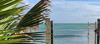 2-bedroom cottage, steps from the ocean, AC, parking