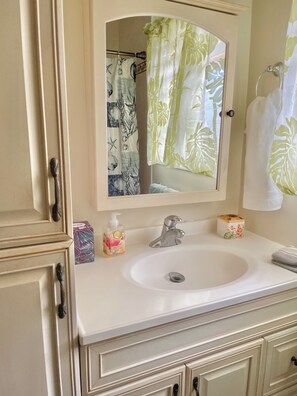 Secadora de cabello, toallas, jabón, papel de baño 