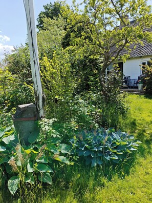 Jardines del alojamiento