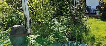 Nature, tranquillity and petting zoo