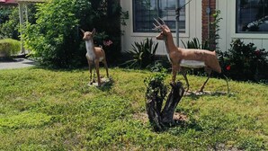 Dos estatuas de ciervos en un césped con una casa al fondo.