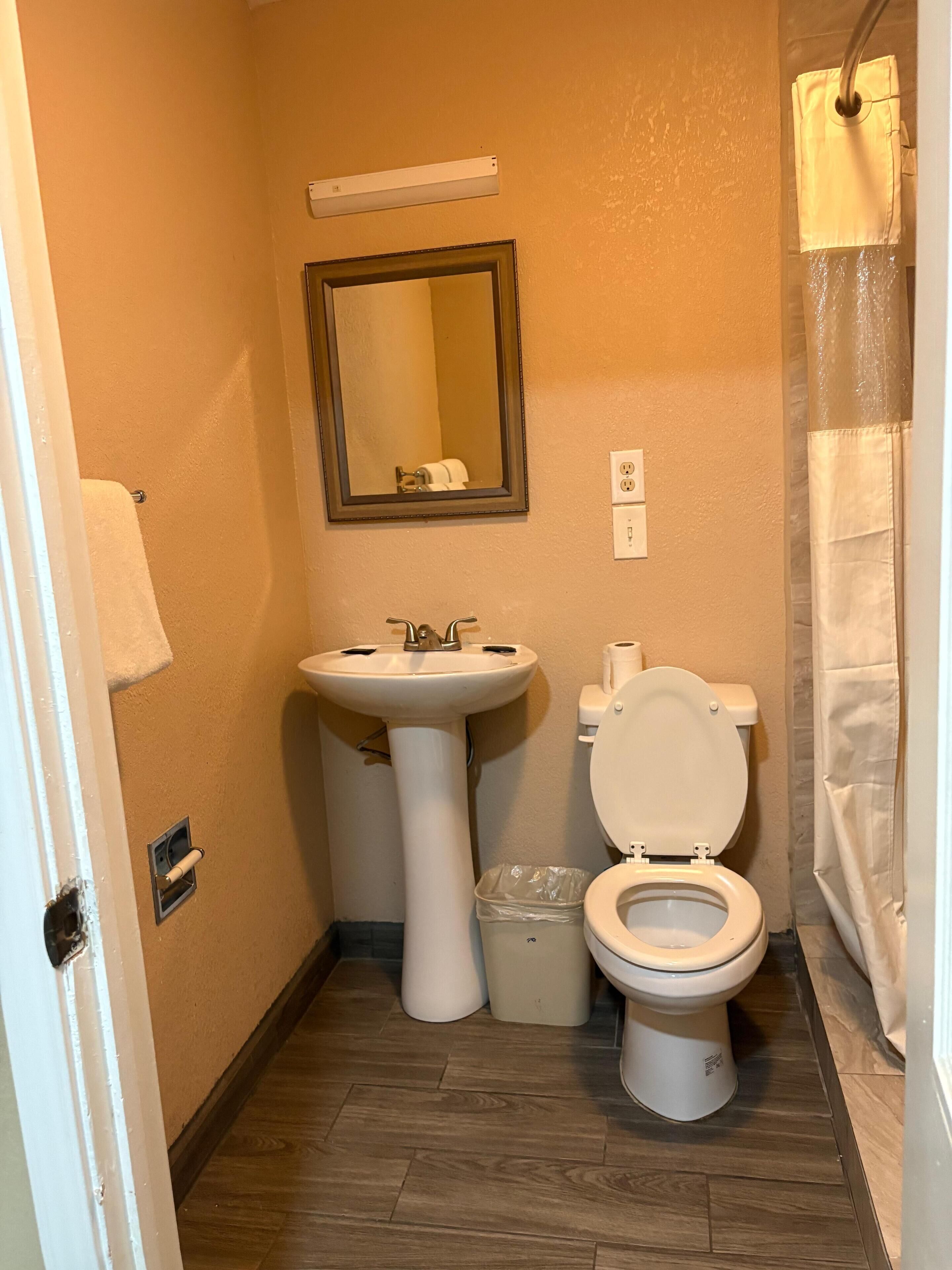 A small bathroom with a pedestal sink, a toilet, a mirror, and a shower curtain.