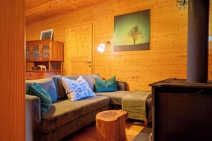 TV connectée, cheminée, livres, chaîne hi-fi