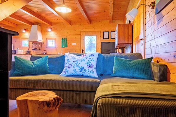 Smart TV, fireplace, books, stereo