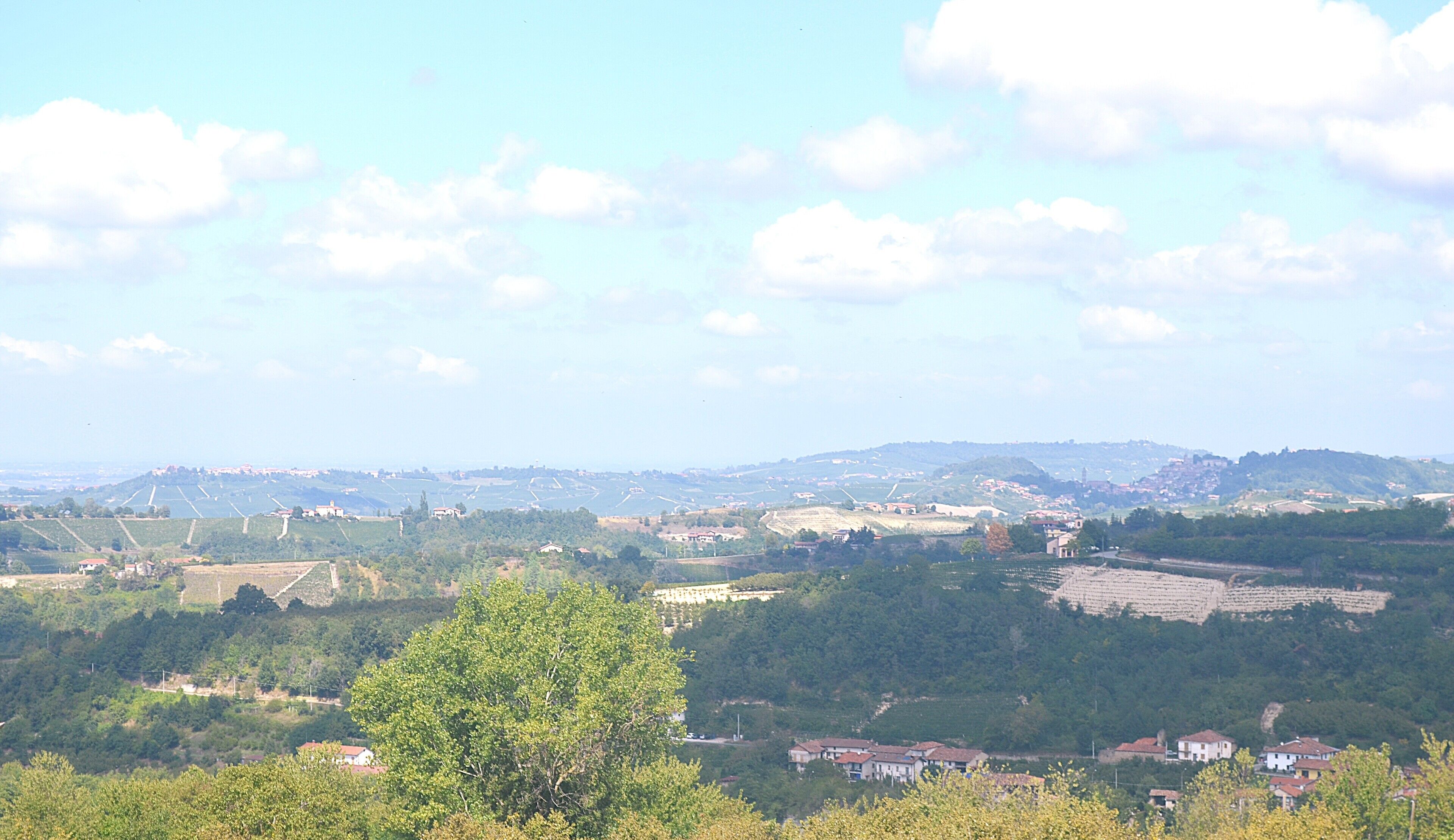 Una vista panoramica su un paesaggio rurale con case sparse, vigneti e dolci colline.