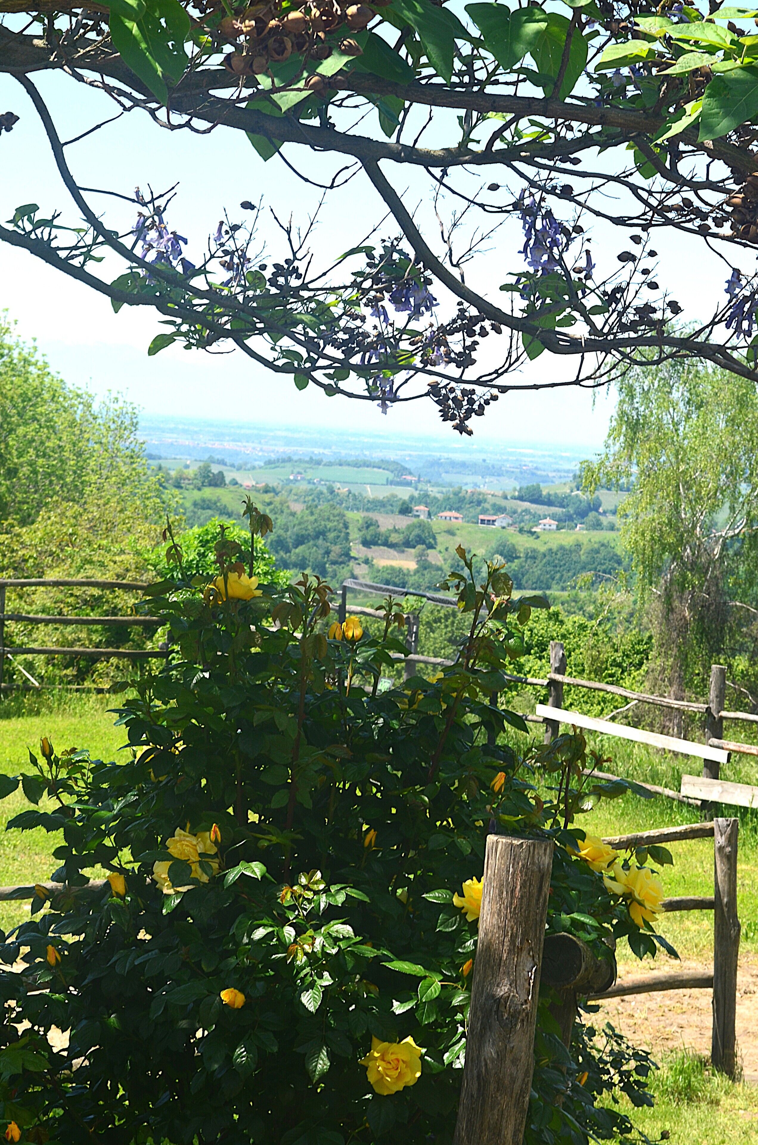 Un jardin entouré d’une clôture en bois, avec une grande variété de plantes et une vue sur un paysage lointain.