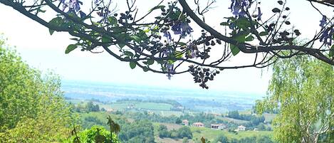 Un jardin entouré d’une clôture en bois, avec une grande variété de plantes et une vue sur un paysage lointain.