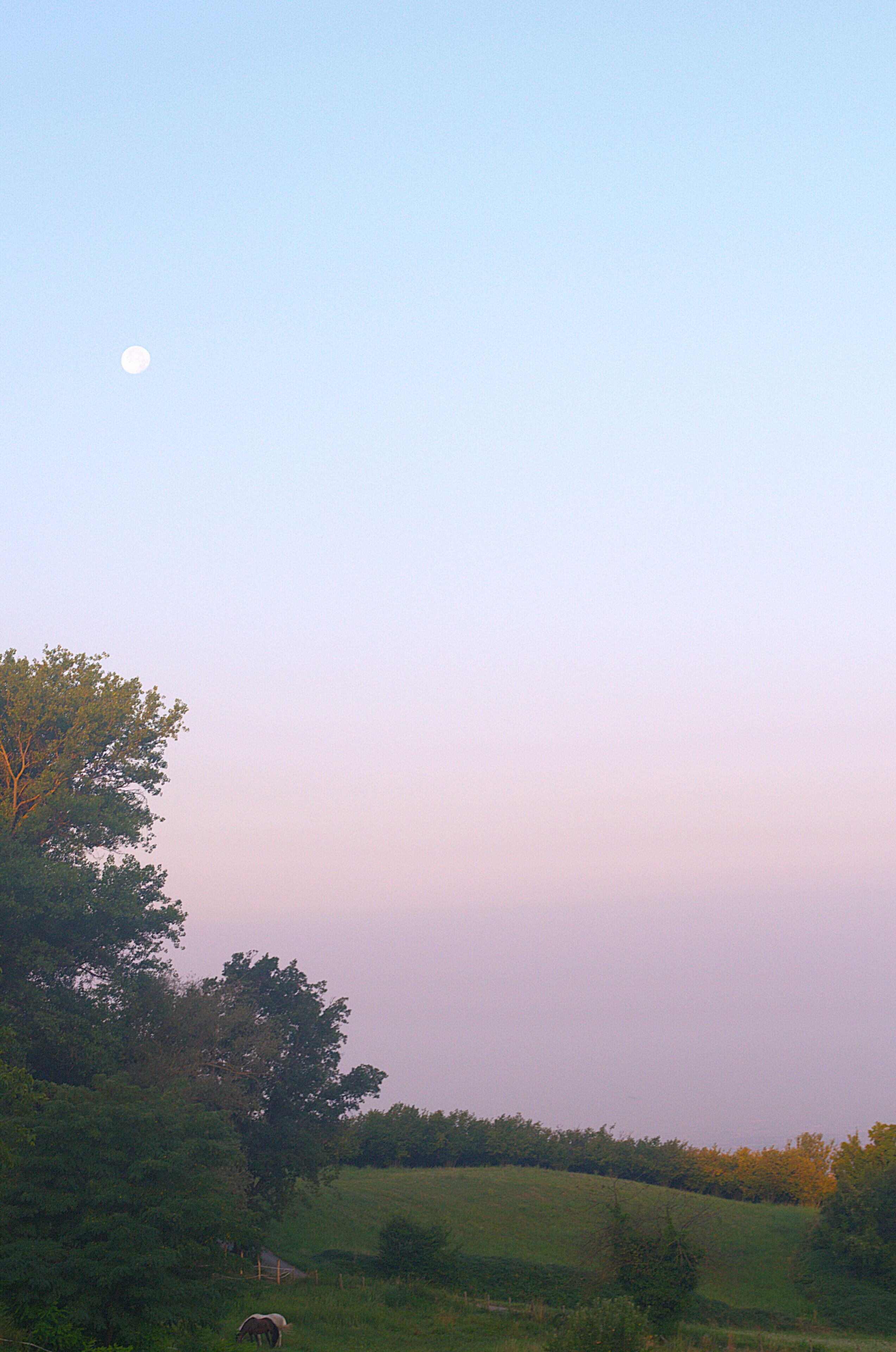 A rural landscape with a clear sky, a visible moon, and a tree in the foreground.