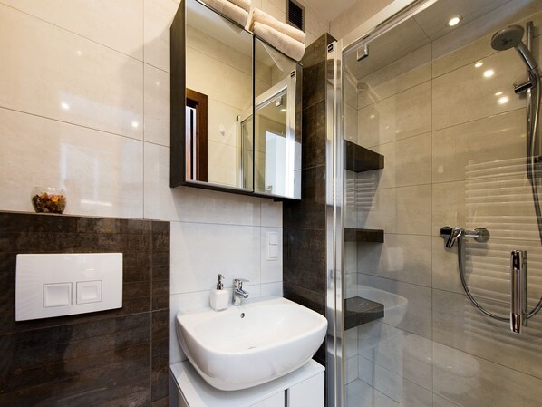 Shower, hair dryer, towels, soap
