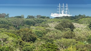A large ship with multiple masts anchored near a forested coastline. - Welcome to Osa Views we’re really happy to have you in our house . (Provincia de Puntarenas)