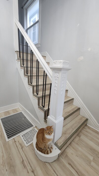 Large Eclectic 4-bed Newly Renovated House Plenty Street Parking by Shelby Park