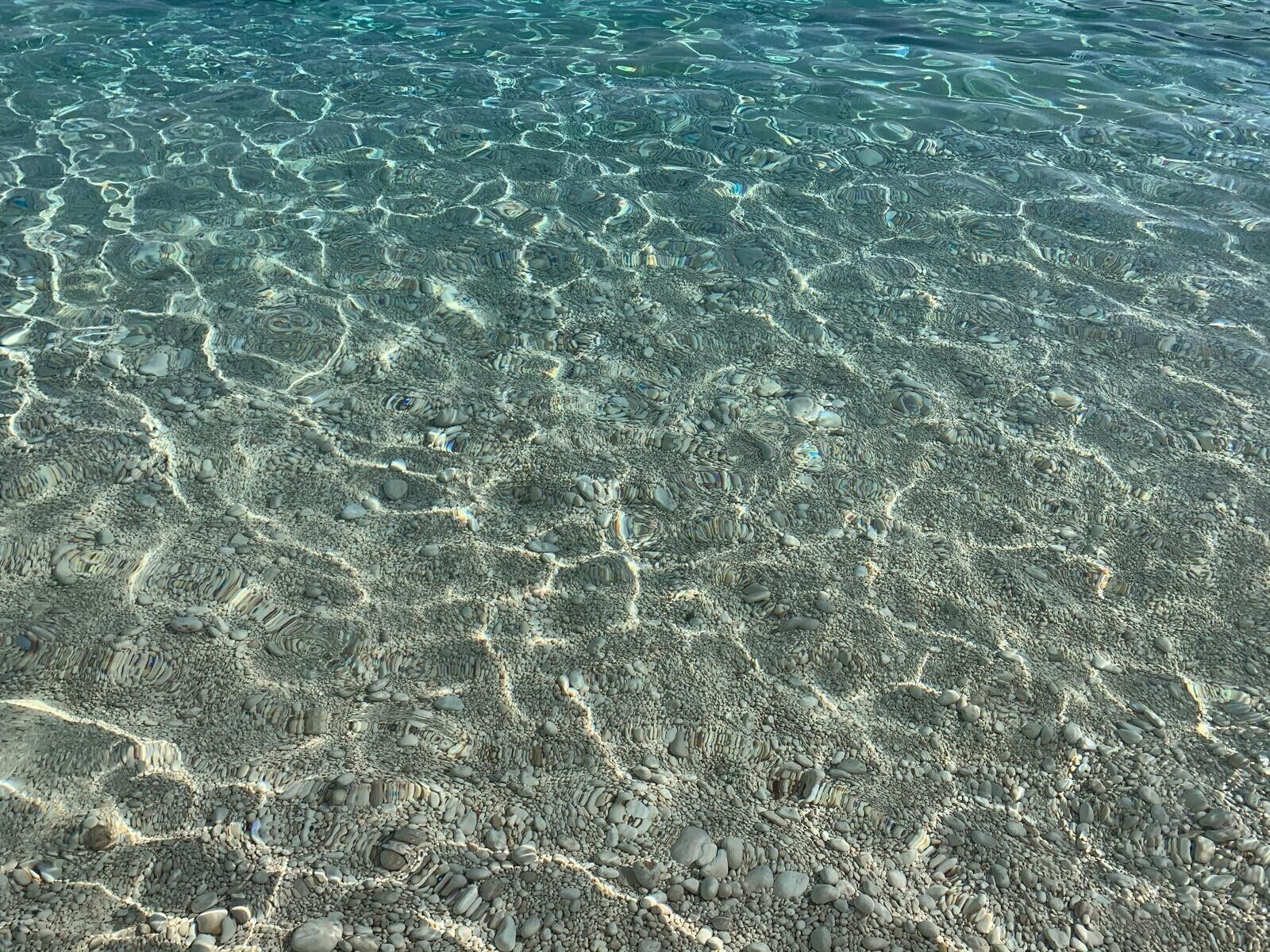 Une vue sous-marine dégagée d’un fond rocheux, où l’on distingue une stratification visible et la présence de vie marine.