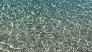 Une vue sous-marine dégagée d’un fond rocheux, où l’on distingue une stratification visible et la présence de vie marine.