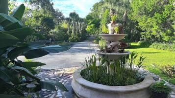 Terrein van de accommodatie