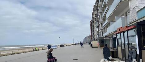 ルーム 1 ベッドルーム シティビュー | ビーチ