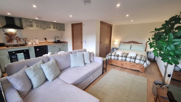 A compact studio apartment with a kitchenette, a sofa, a bed, and a large plant. - Bailem Lodge at Loch Ness (adults only) (Fort Augustus)