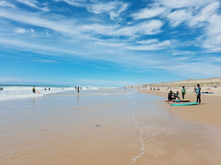 On the beach. *New listing*-large 2 bedrooms apartment 200m from the beach, super convenient!