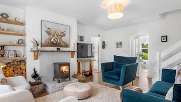 Una televisión, una chimenea