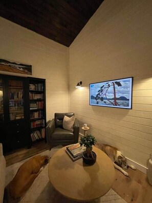 TV, caminetto, impianto stereo