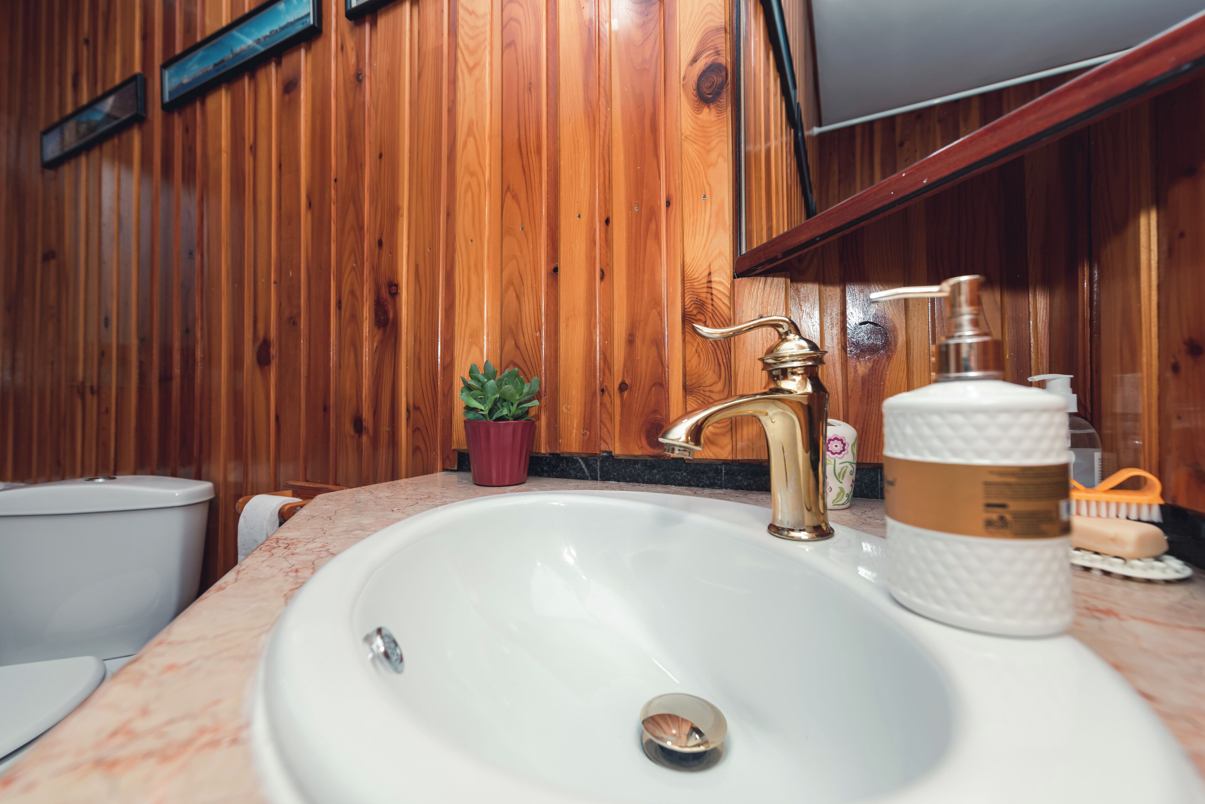 Chambre Double Deluxe, vue jardin | Salle de bain | Sèche-cheveux, serviettes fournies, savon, shampoing