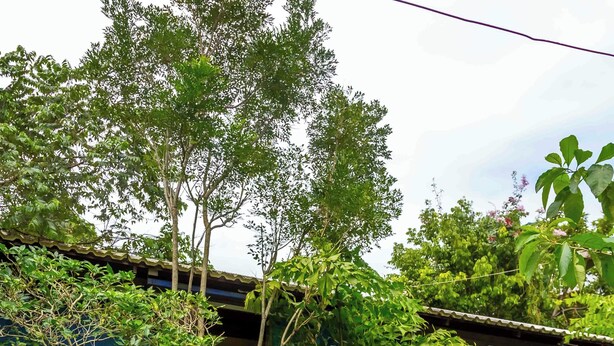 Ảnh chưa phân loại, 1 trong số 8 ảnh, nút