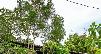 Pousada Eco Manguinhos