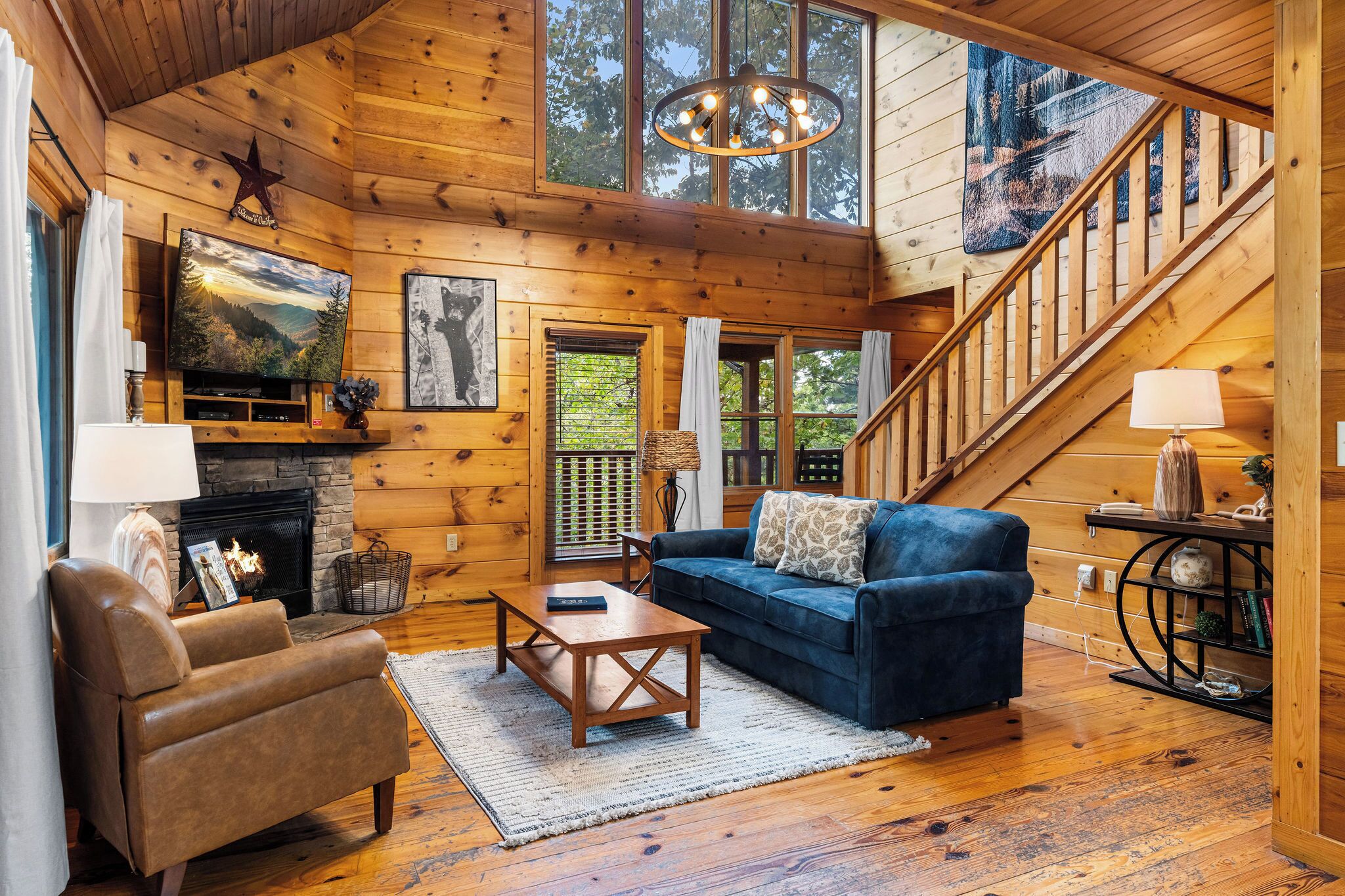 TV, fireplace, DVD player