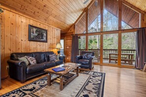 テレビ、暖炉、DVD プレーヤー、テーブルサッカー台